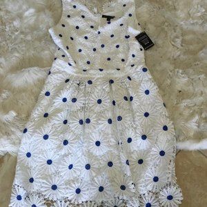 Boston Proper White Crochet Daisy Dress with Blue Centers